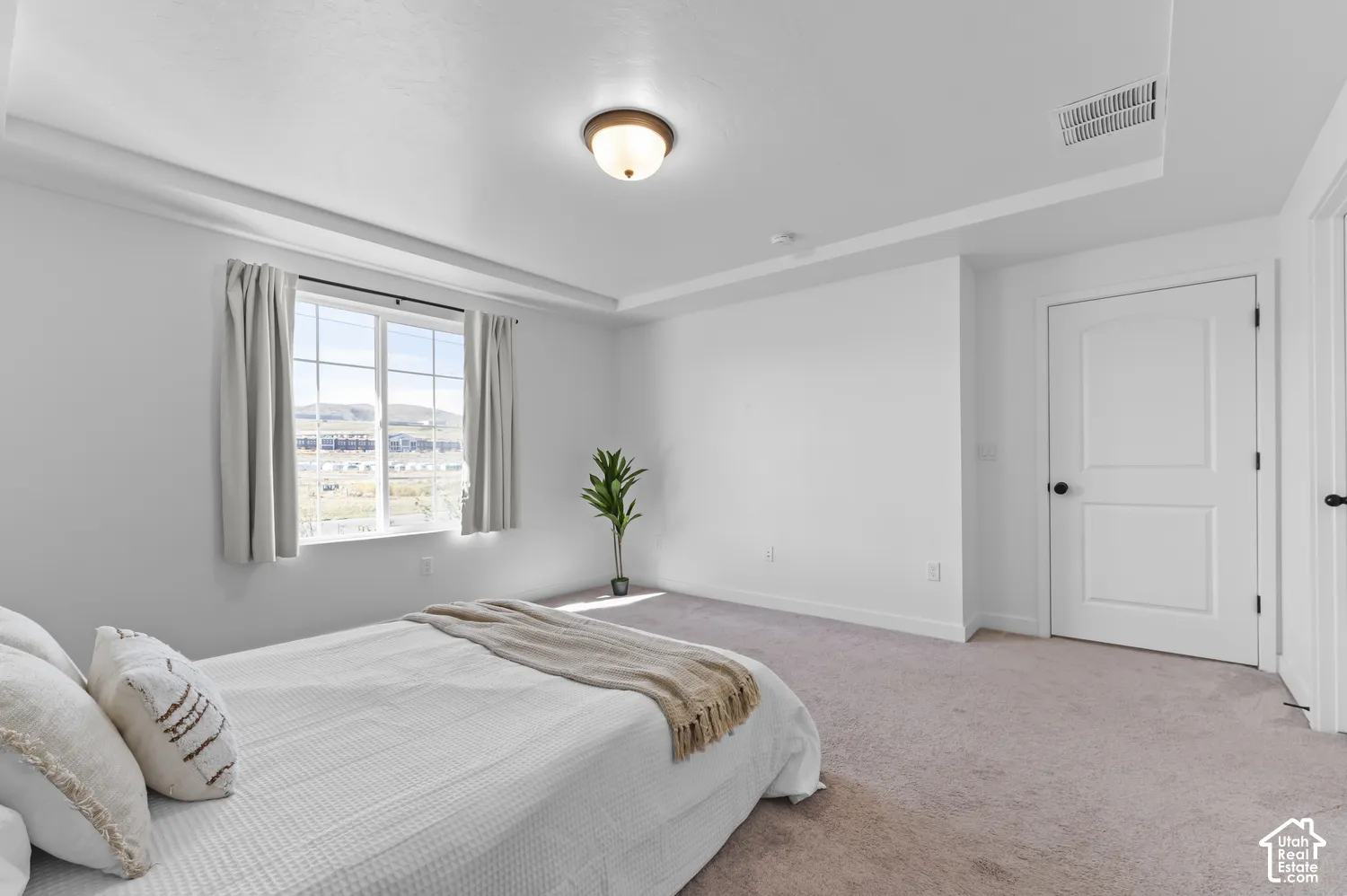 Neutral-toned room featuring a tray ceiling, wall-to-wall carpeting, a multi-pane window, and a two-panel interior door