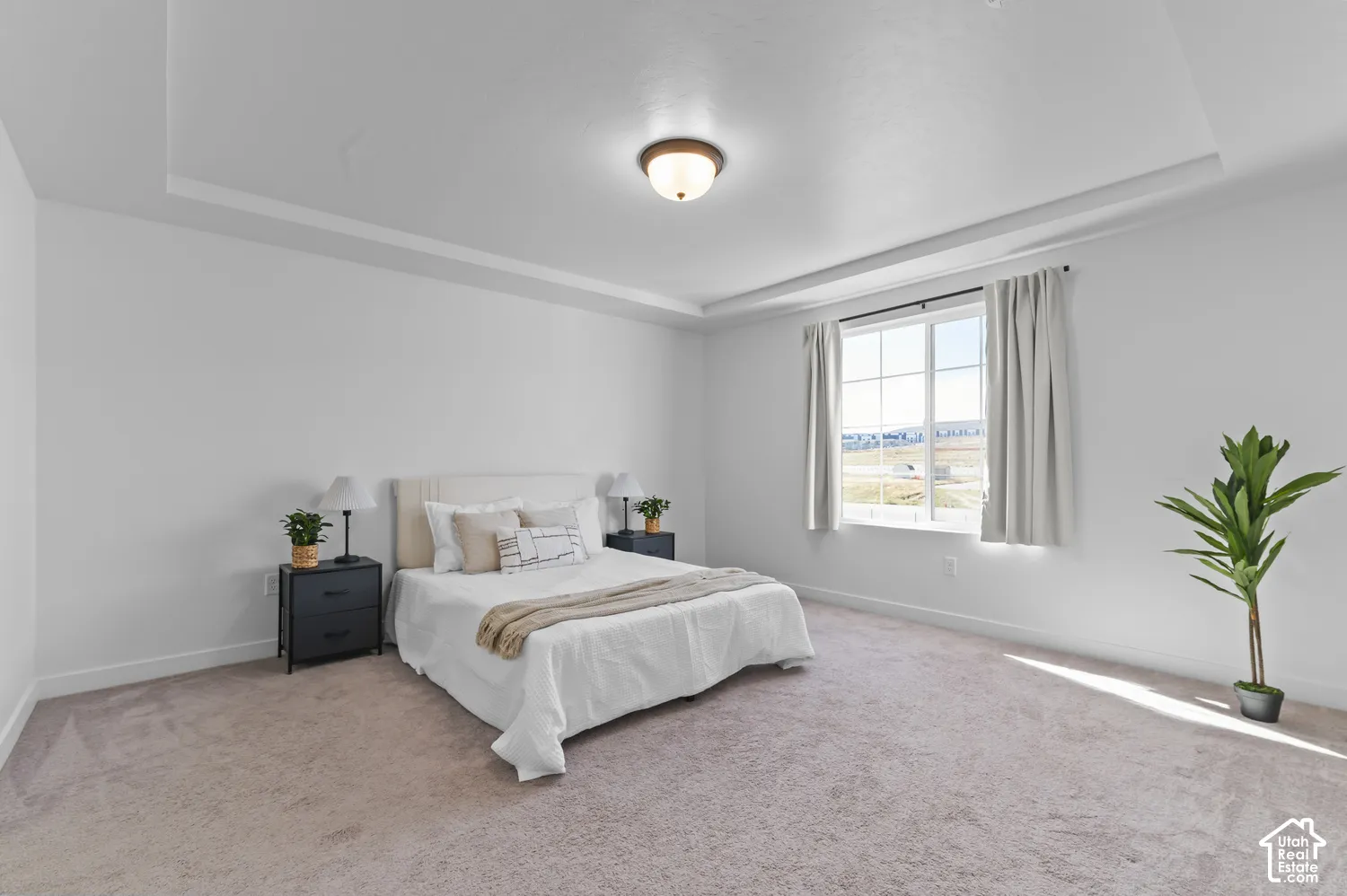Tray ceiling featuring a flush-mount light fixture, carpeting, and a multi-pane window