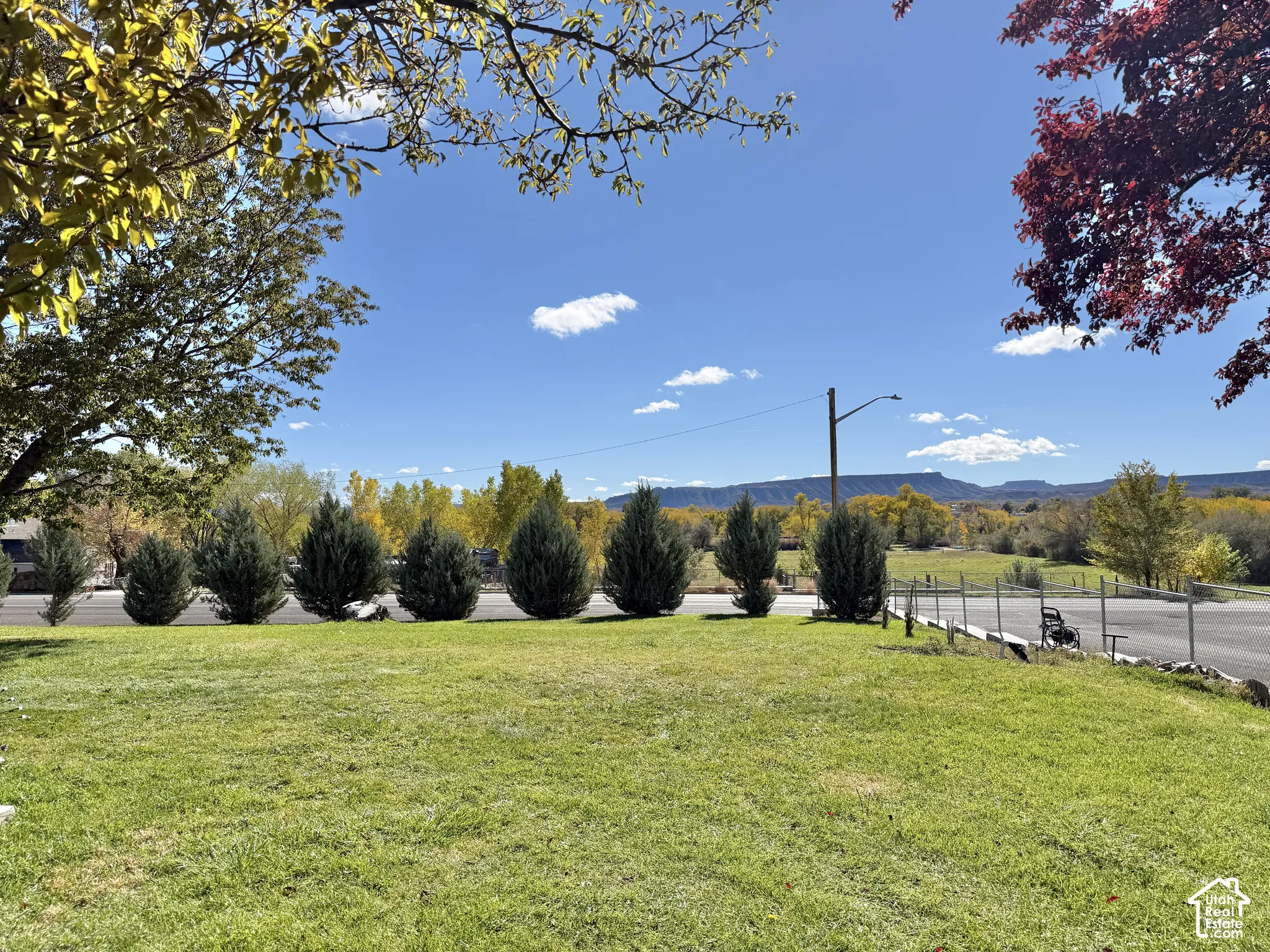 Expansive lawn featuring mature evergreen trees and a prominent mountain backdrop