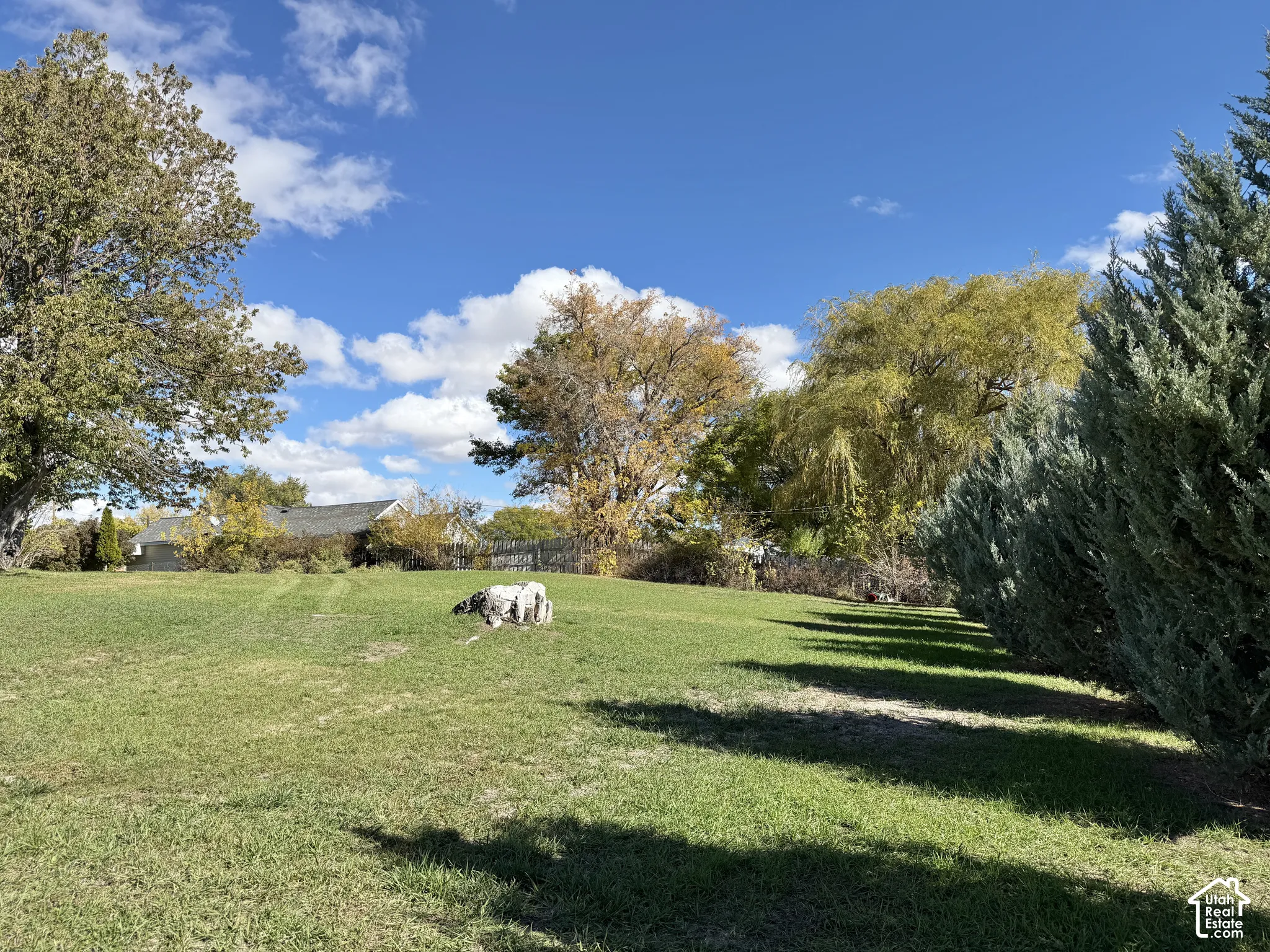 Expansive grass lawn featuring mature trees and a line of established evergreens