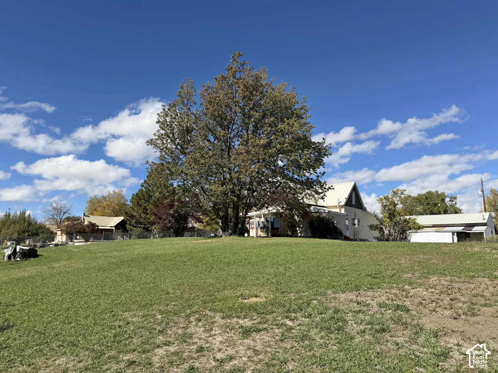 Expansive lot featuring mature trees, substantial lawn space, and metal-roofed structures