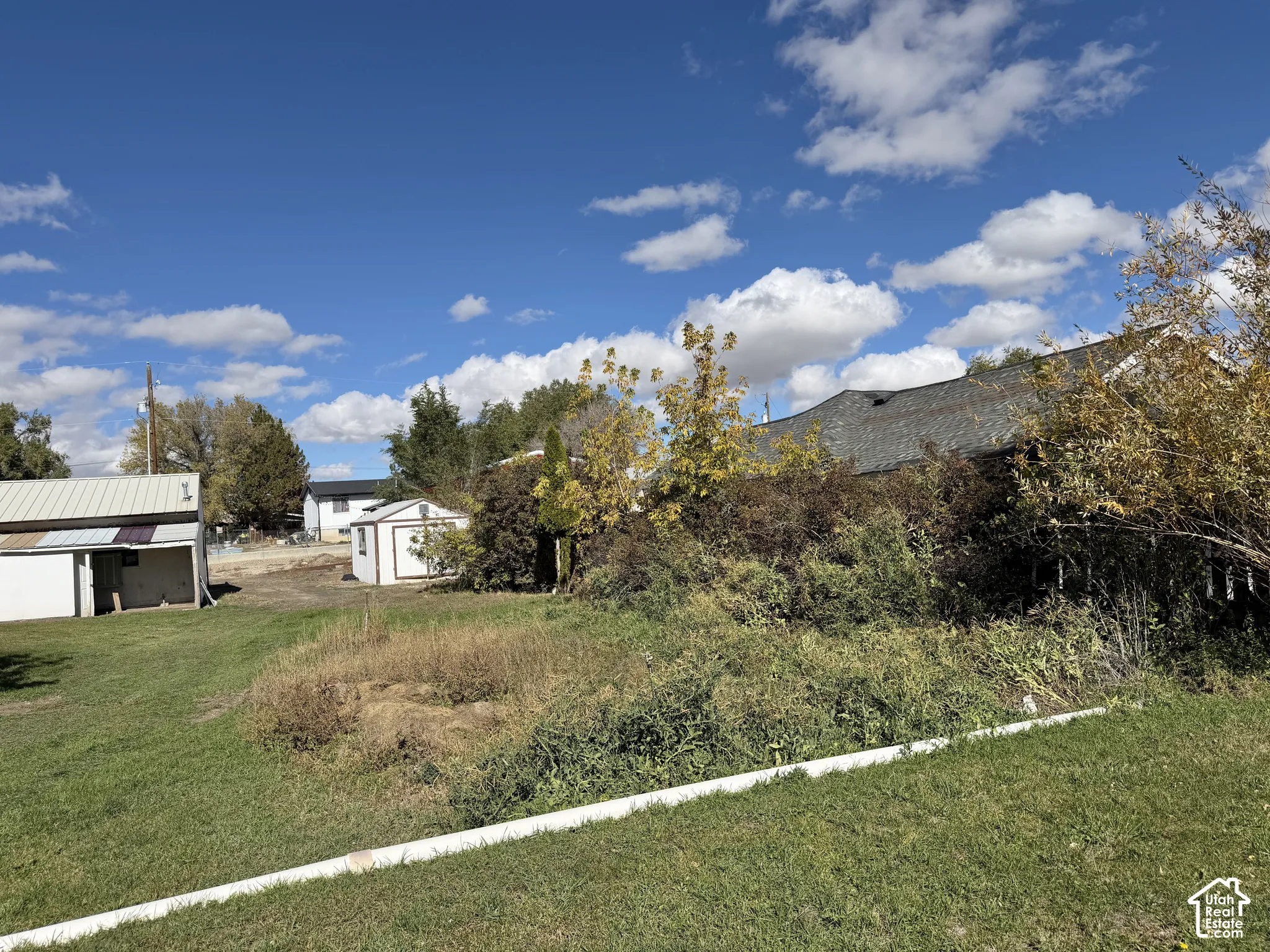 Expansive lot featuring an exterior storage structure, metal-roofed outbuilding, mature trees, and open green space