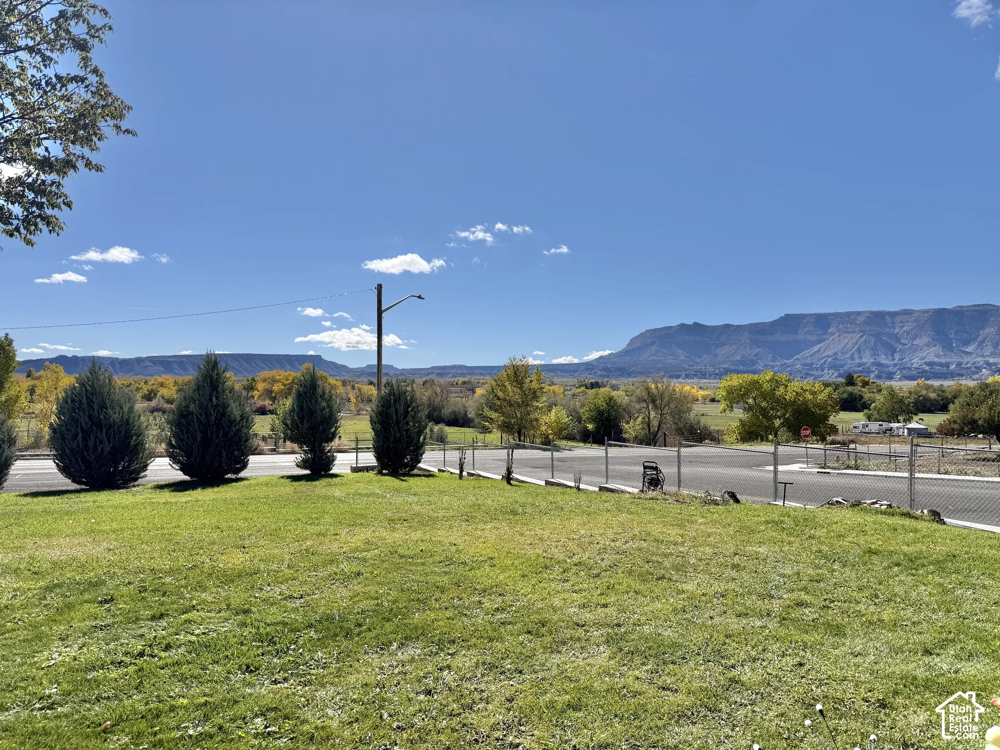 Expansive grass lawn featuring mature evergreen trees and mountain range backdrop