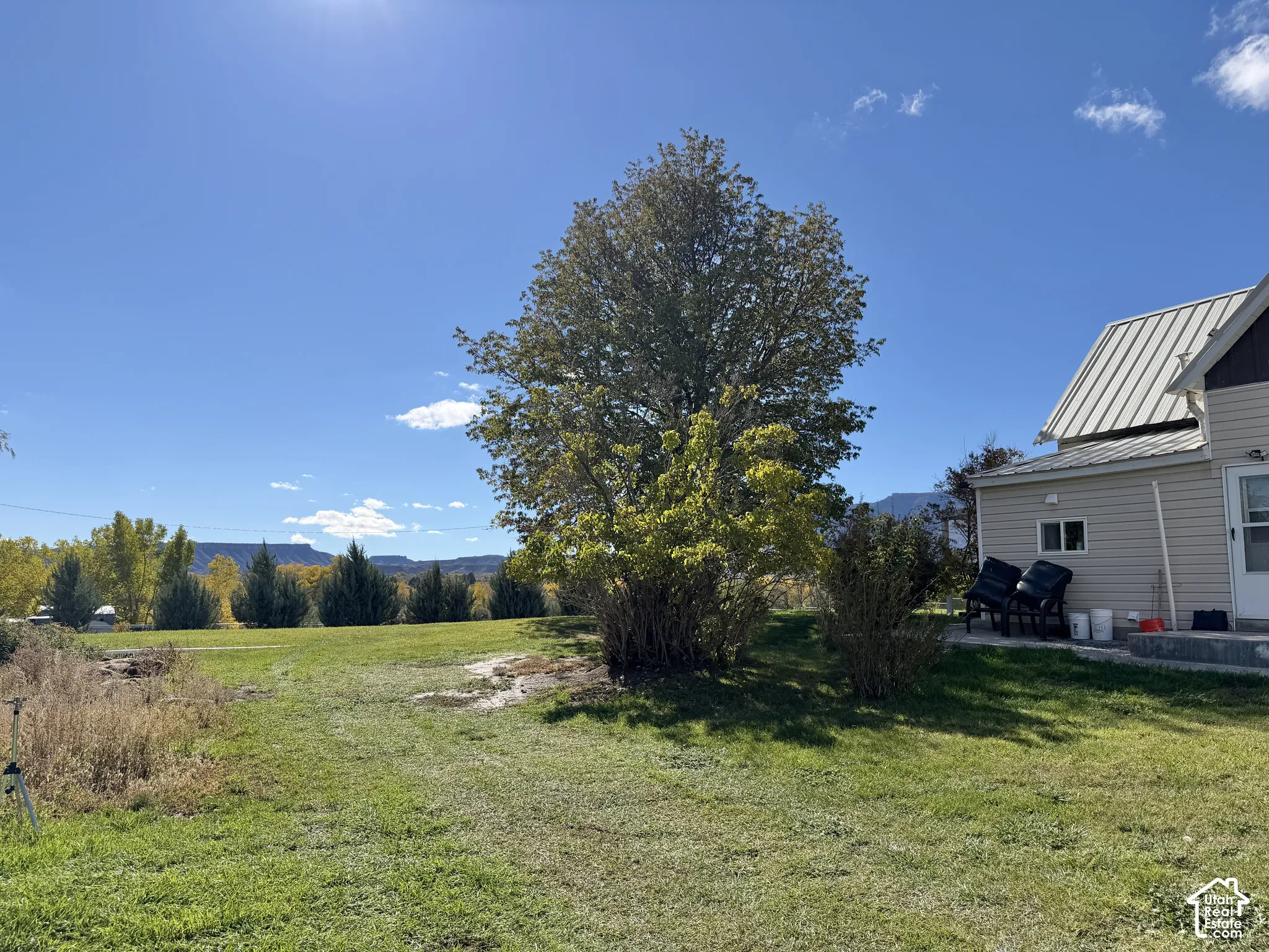 Expansive lot featuring mature trees, a metal roof, and distant mountain topography