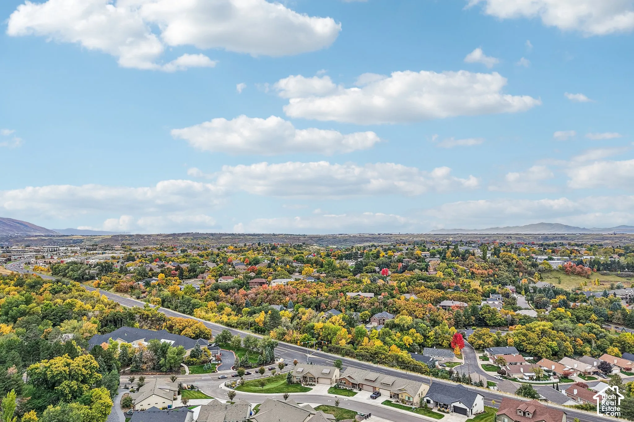 Aerial perspective of a suburban neighborhood featuring mature deciduous trees and distant mountain silhouettes