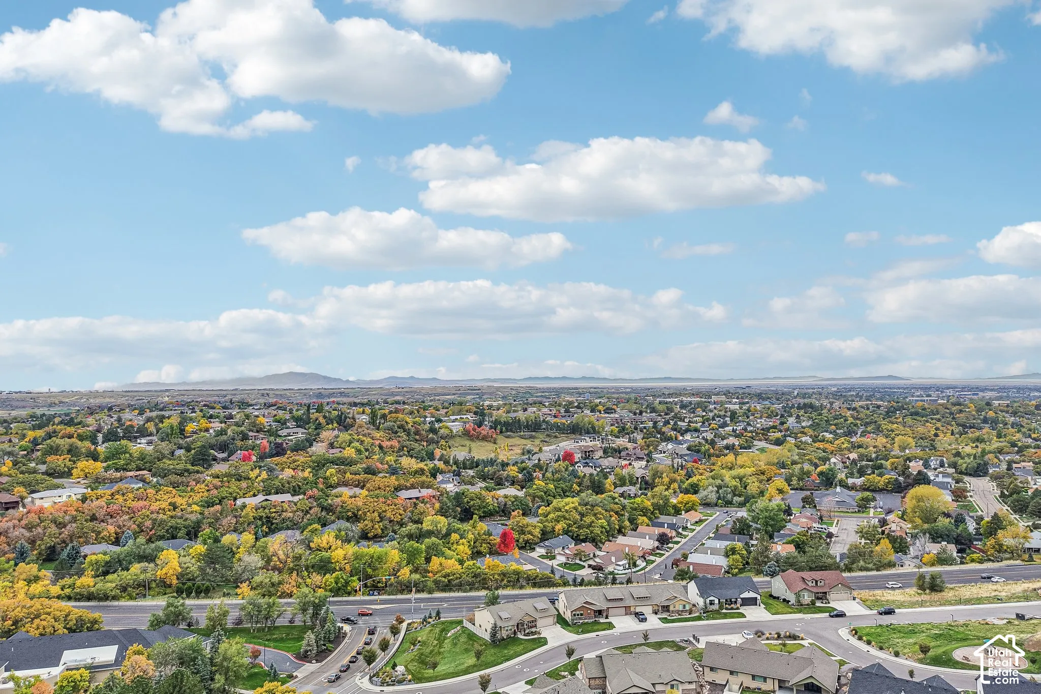 Aerial perspective showcasing a suburban residential area with mature deciduous trees and a mountain horizon