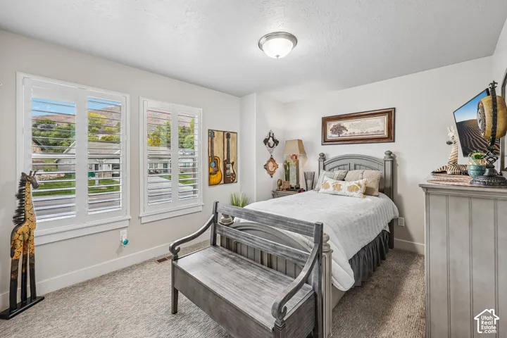 Interior room featuring neutral wall paint, plush carpeting, dual windows with white plantation shutters, and a central ceiling-mounted light fixture