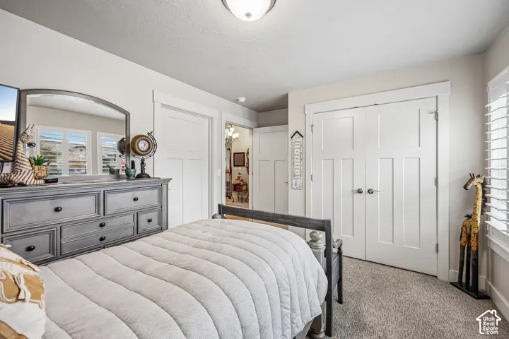 Room featuring neutral wall paint, carpeted flooring, white shaker-style interior doors, double-door closet, and white plantation-style shutters