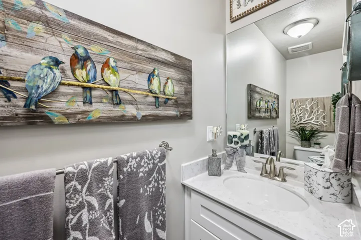 Vanity featuring a white cabinet base, stone-look countertop, integrated oval basin, and dual-handle metal faucet, complemented by a large wall-mounted mirror and flush-mount ceiling lighting