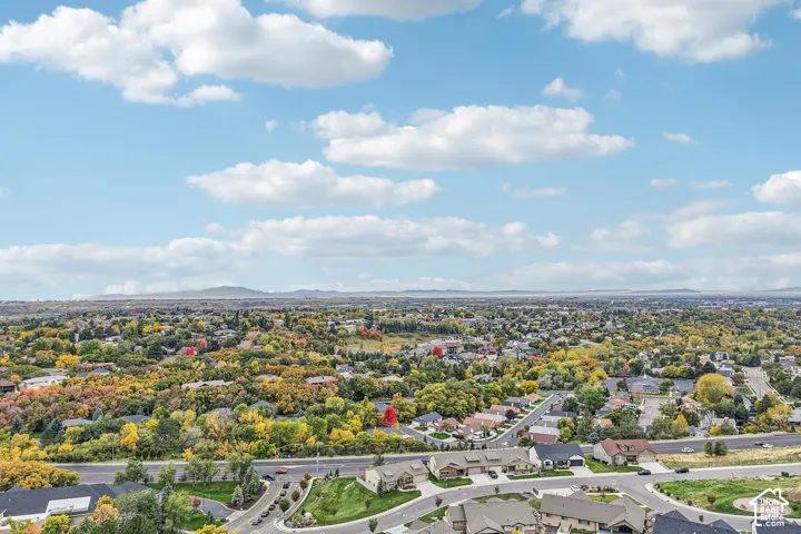 Aerial perspective showcasing a suburban residential area with mature deciduous trees and a mountain horizon
