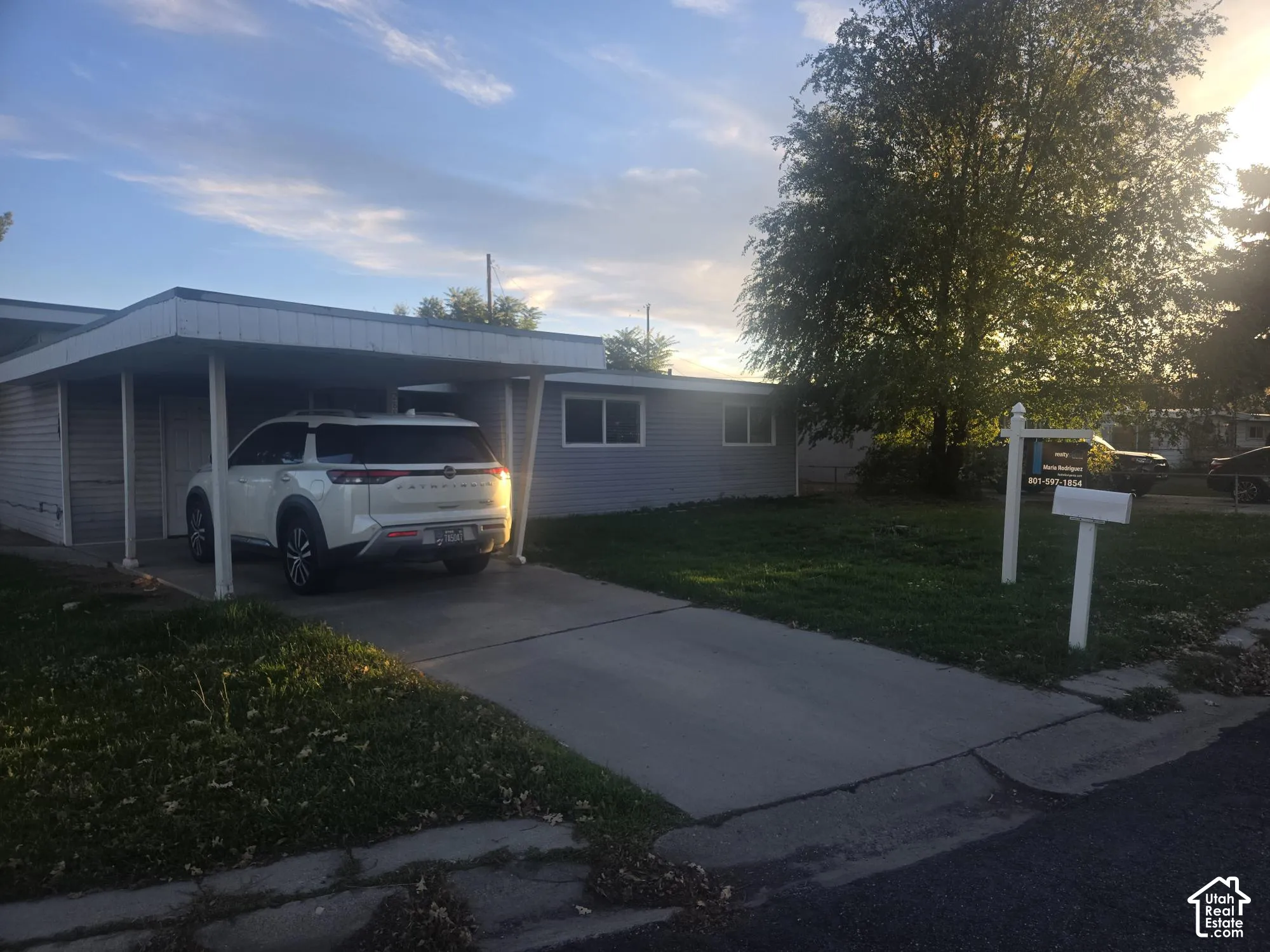 Single-story residence featuring horizontal lap siding, a flat roofline, attached carport, concrete driveway, and mature landscaping