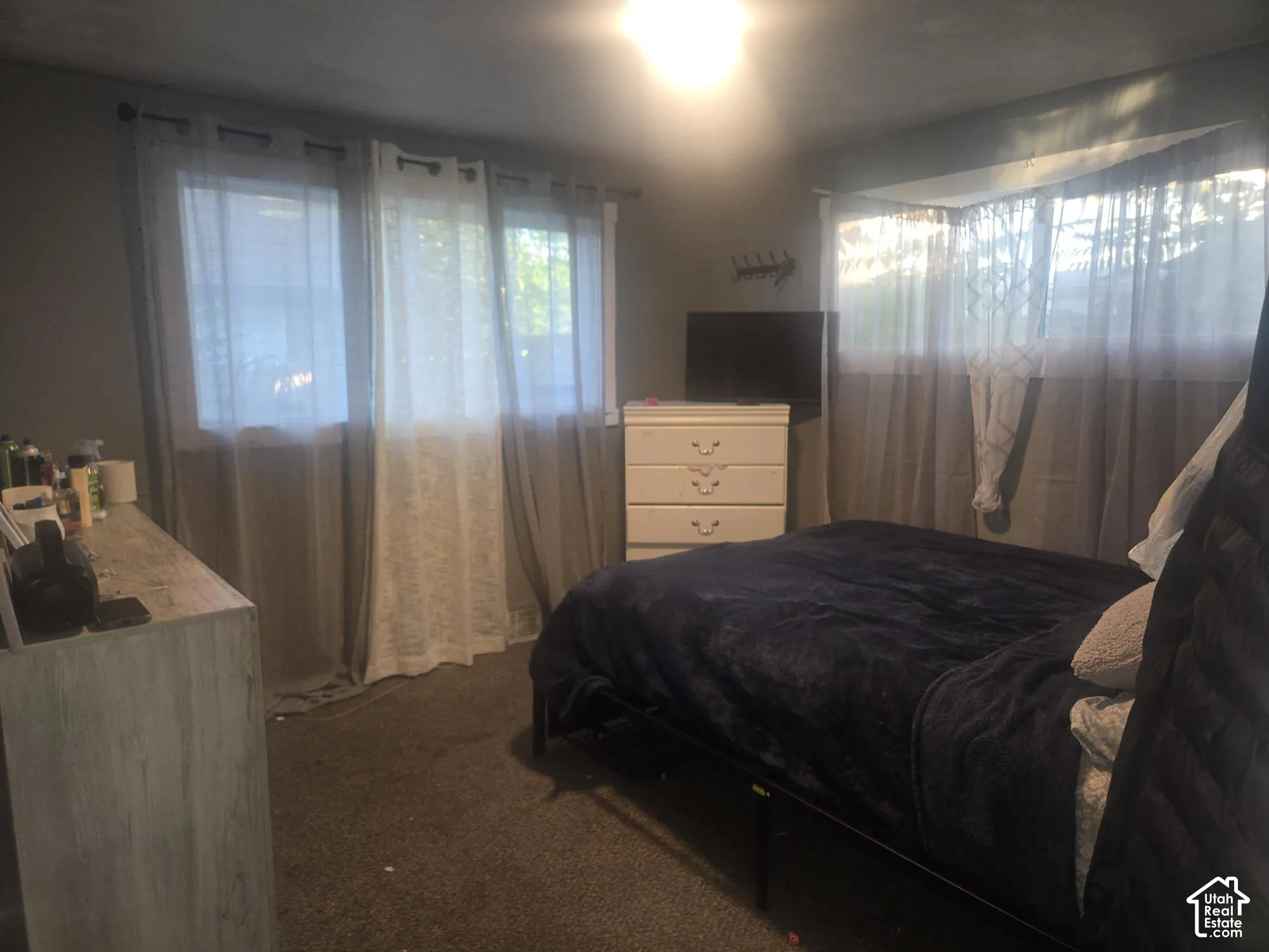 Interior space featuring dual-aspect windows, flush-mount ceiling lighting, and wall-to-wall carpeting