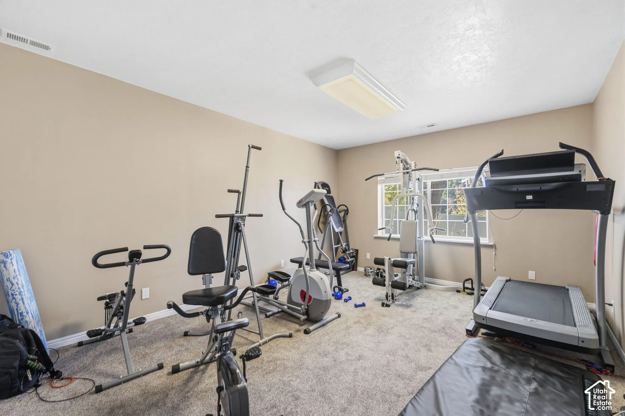 Room featuring neutral wall tones, wall-to-wall carpeting, and a window with white trim
