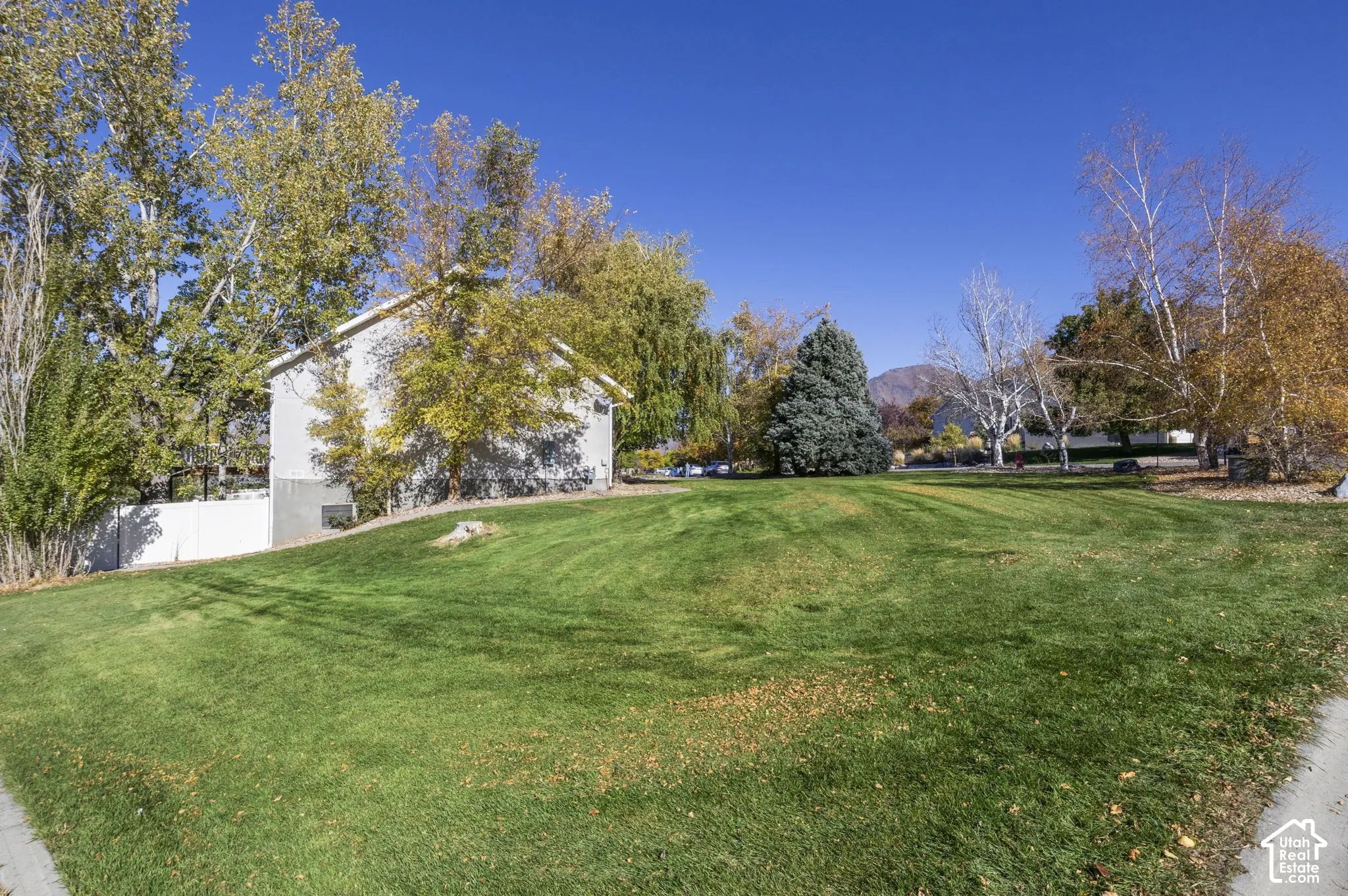 Expansive lawn featuring mature trees and a mountain backdrop