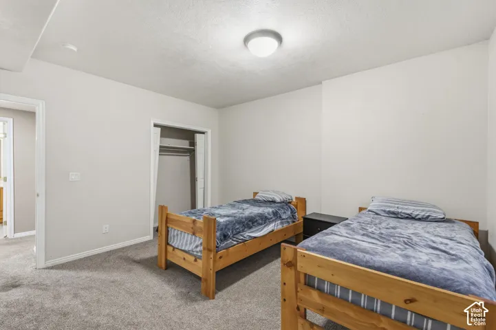 Neutral-toned interior room featuring wall-to-wall carpeting, a recessed closet with double-panel doors, and a flush-mount ceiling light fixture