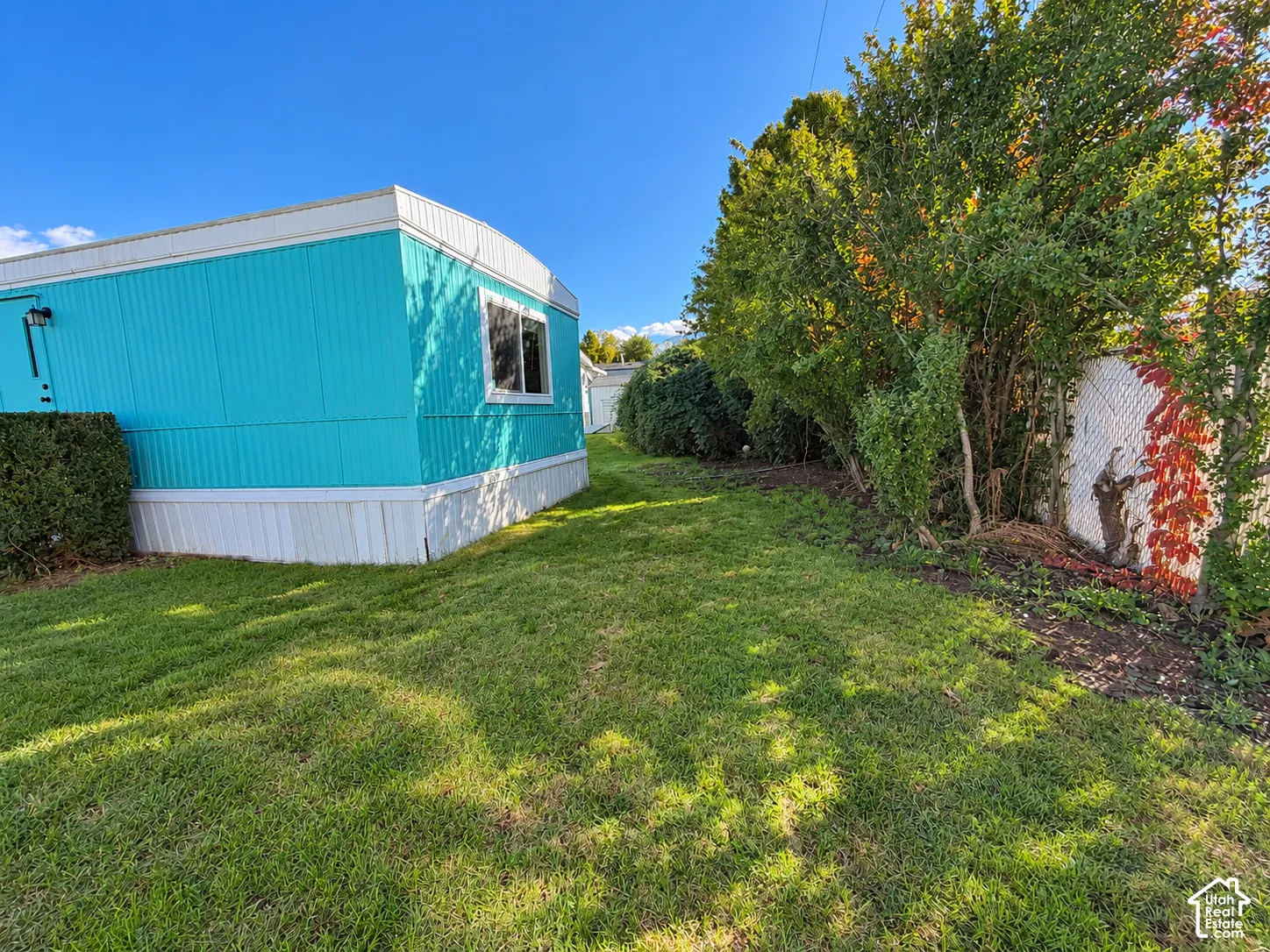 Back yard from southwest corner