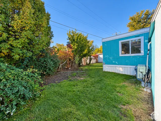 backyard from south east corner