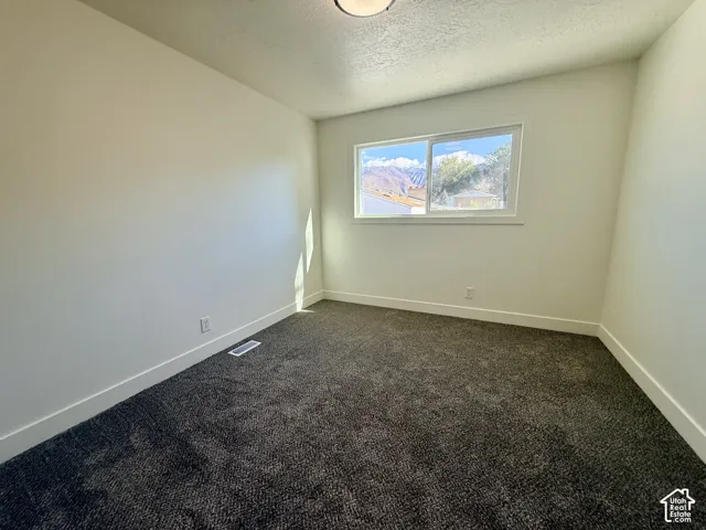 Neutral-toned interior space featuring wall-to-wall carpeting, clean painted walls, a sliding window, and a mountain landscape backdrop