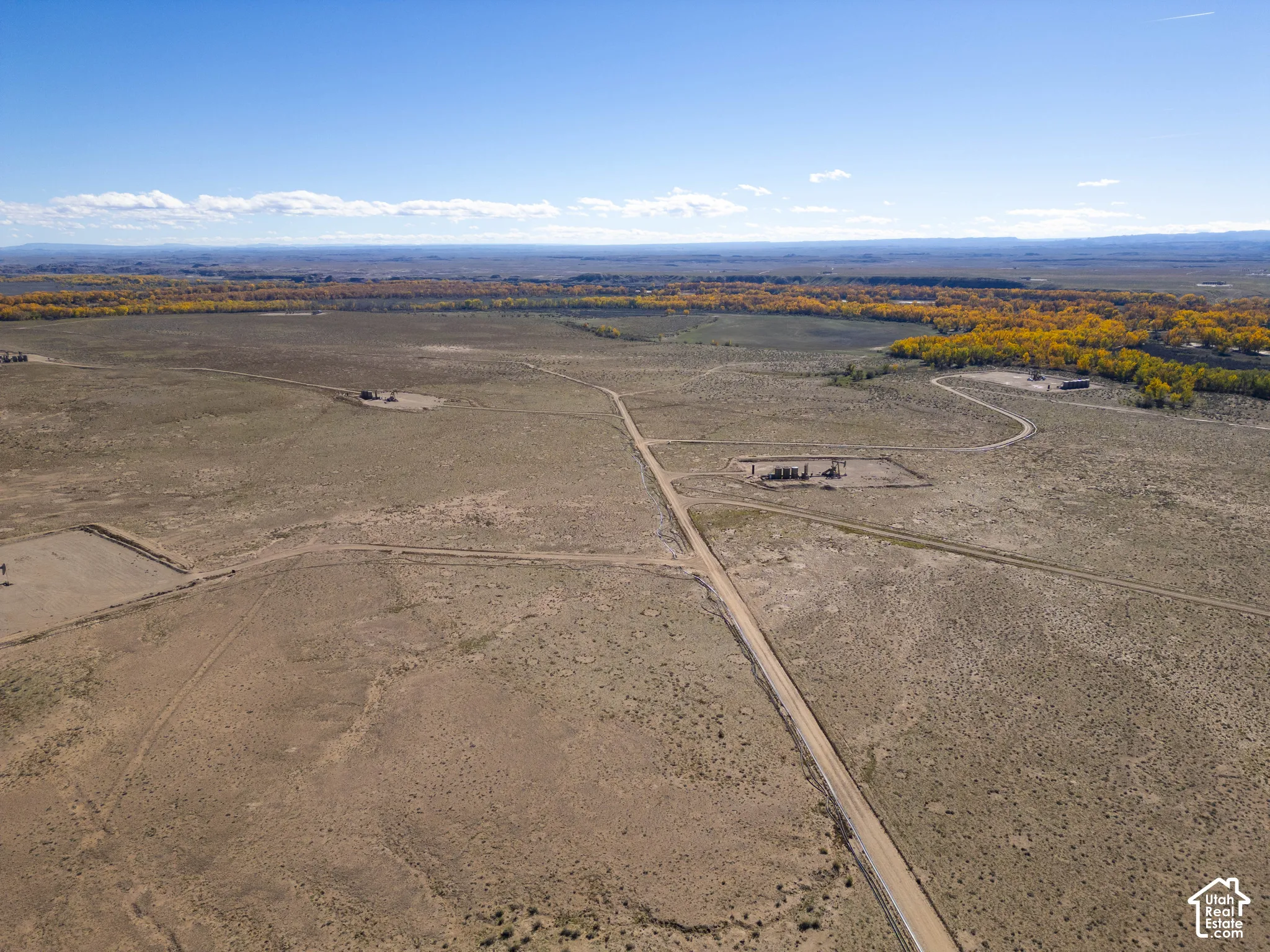 Expansive acreage featuring dirt access roads, native vegetation, and a prominent treeline backdrop