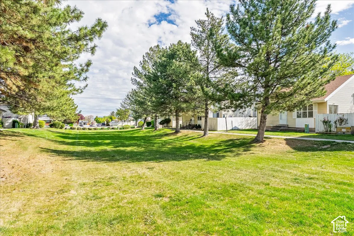 Expansive green space featuring mature evergreen trees, manicured turf, and paved pedestrian walkways