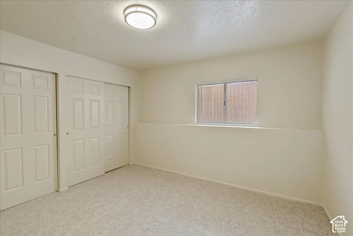 Room featuring neutral carpeting, dual sliding-panel closets, a flush-mount ceiling light fixture, and a horizontal window
