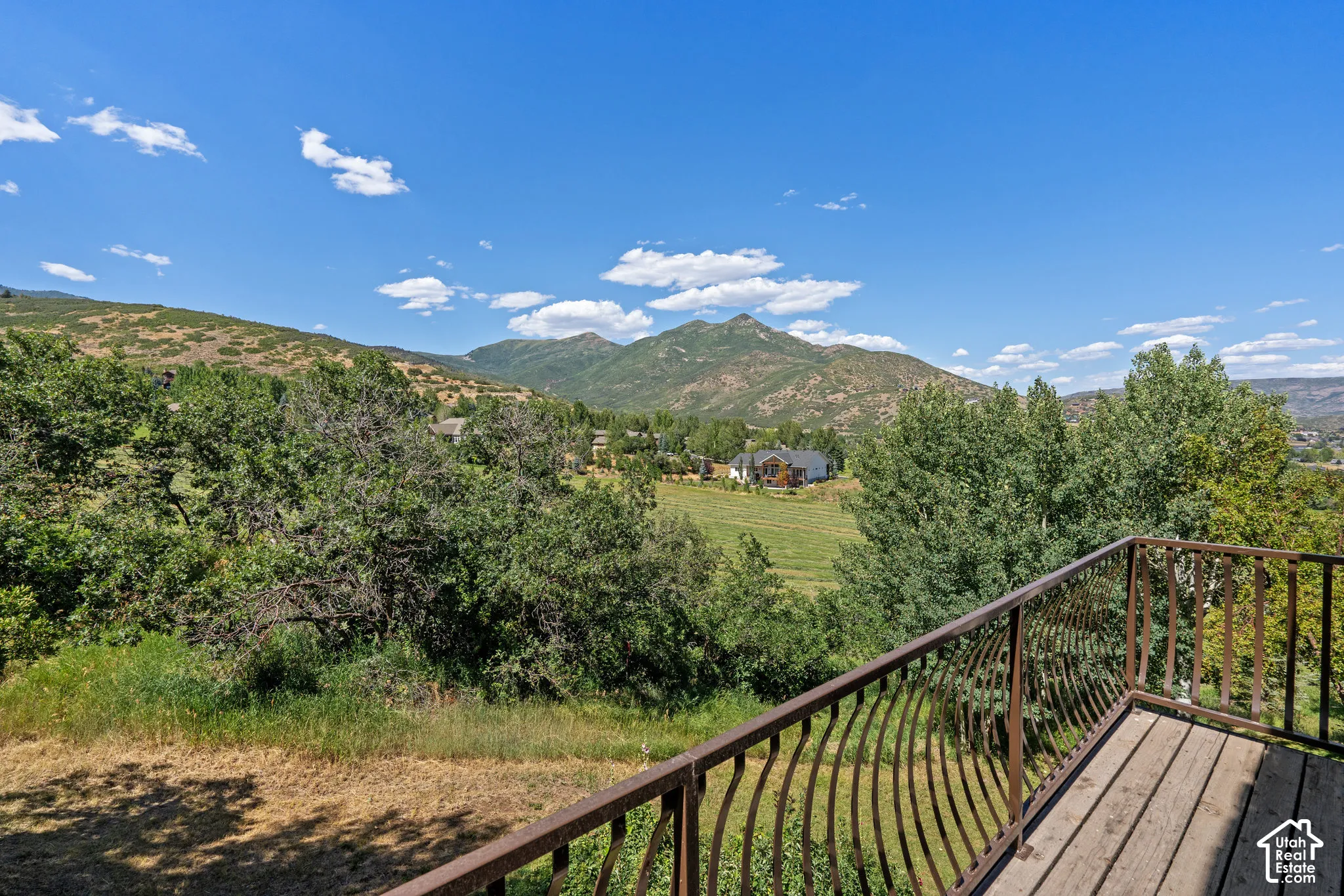 Elevated deck featuring metal railing, overlooking a sprawling landscape of mature trees, expansive greenery, and prominent mountain peaks