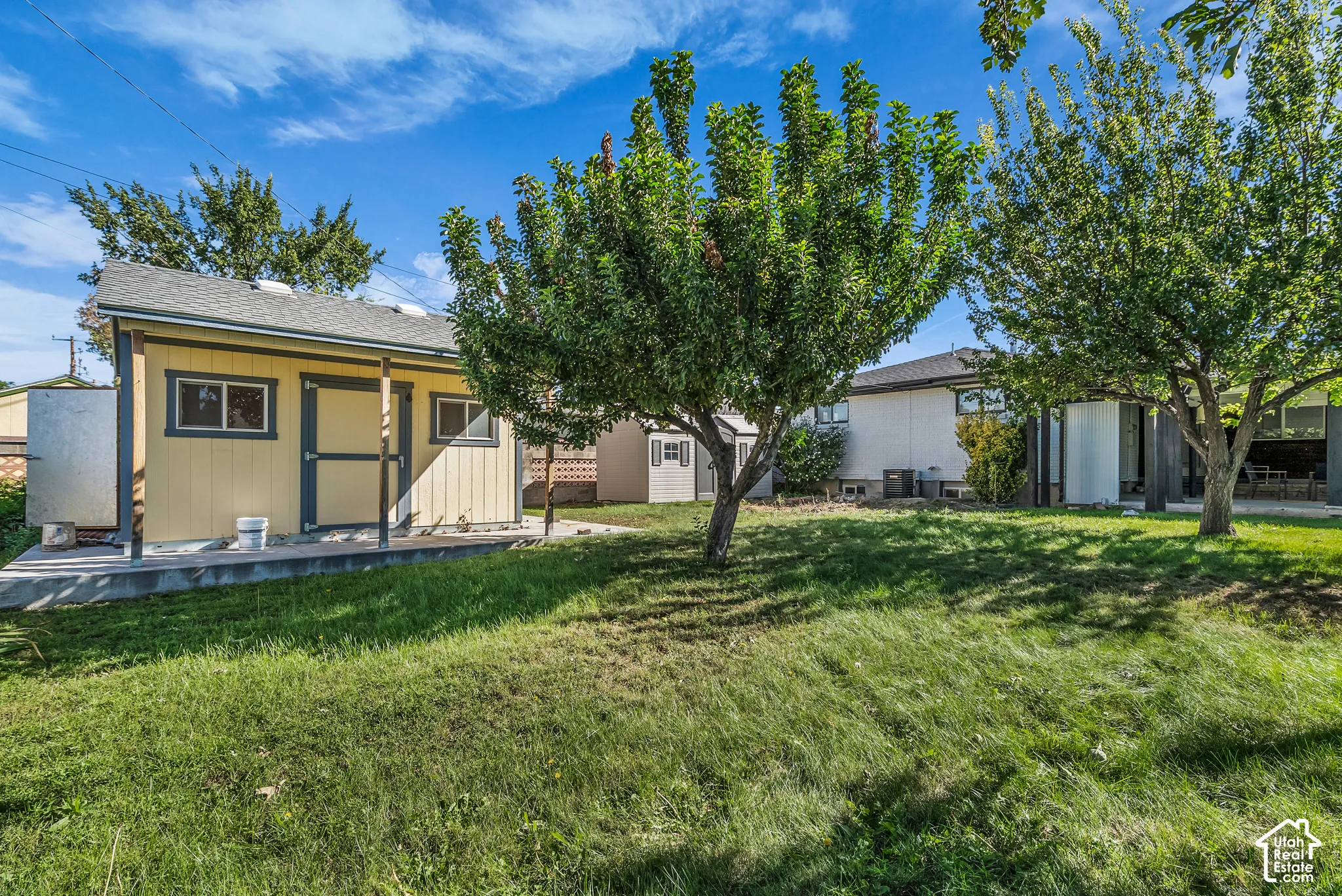 Backyard area featuring a detached outbuilding, concrete slab, mature trees, and grass lawn
