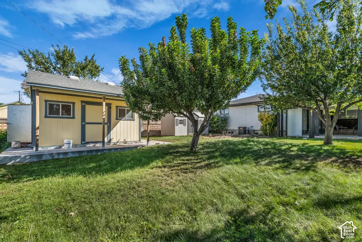 Backyard area featuring a detached outbuilding, concrete slab, mature trees, and grass lawn