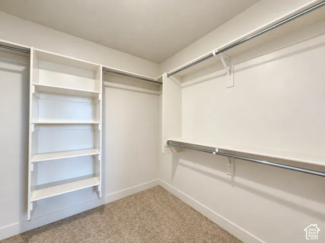Walk-in closet featuring white built-in shelving, multi-level hanging rods, and neutral carpeting