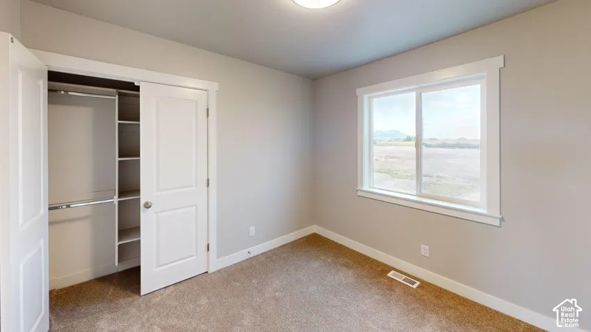 Neutral-toned room featuring wall-to-wall carpeting, a large sliding window with exterior mountain scenery, and a walk-in closet with built-in shelving