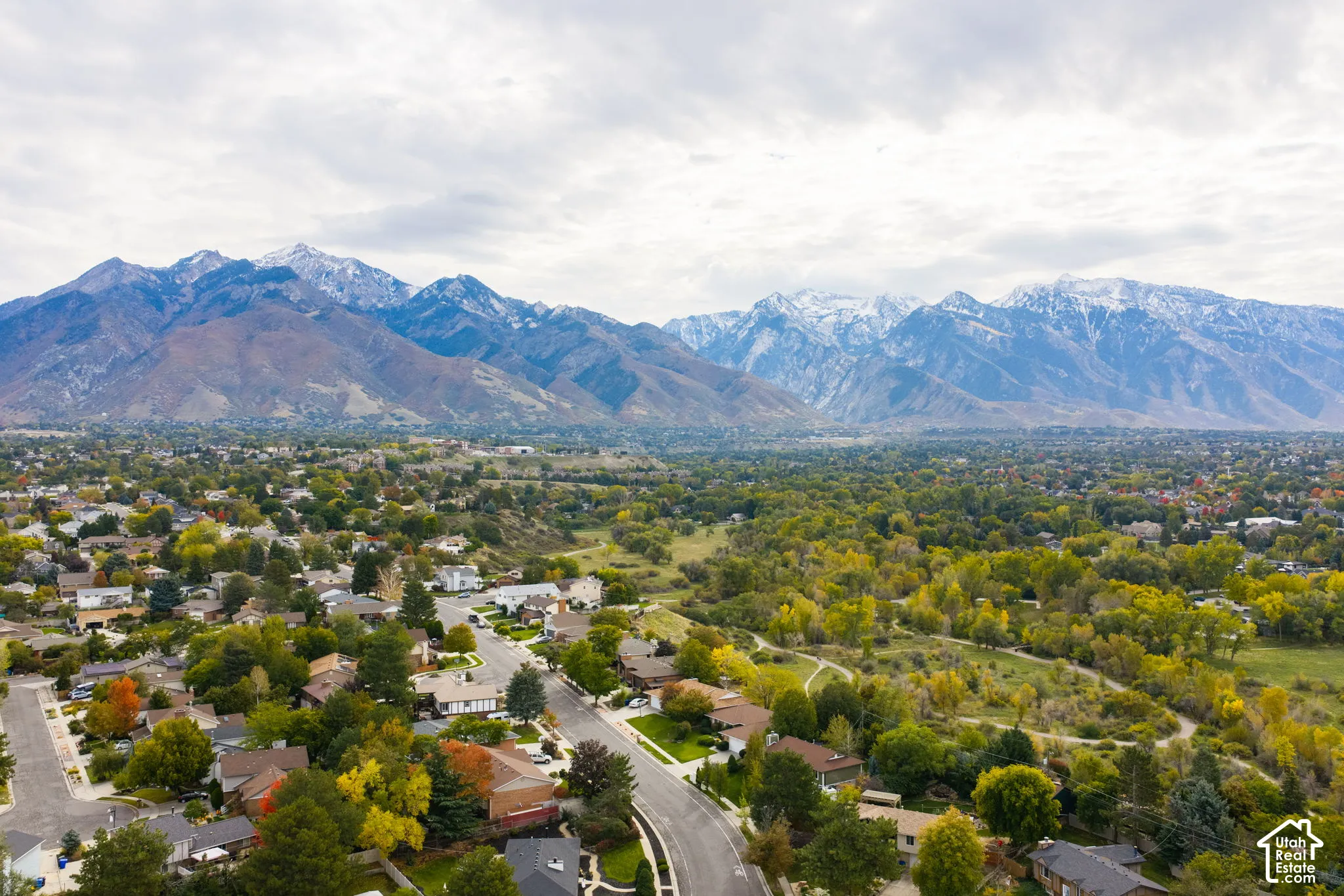 Aerial perspective featuring a prominent mountain backdrop, extensive natural landscape, and mature tree canopy