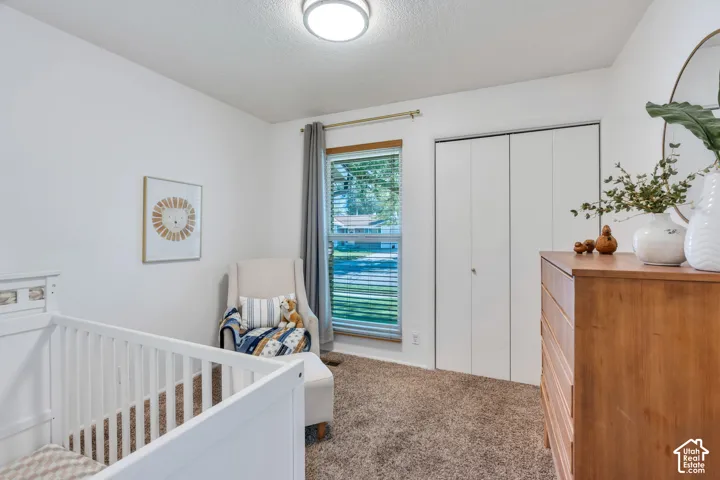 Neutral-toned carpeted flooring, large window with blinds, and dual-panel closet doors with hardware