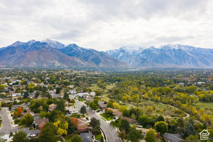 Aerial perspective featuring a prominent mountain backdrop, extensive natural landscape, and mature tree canopy