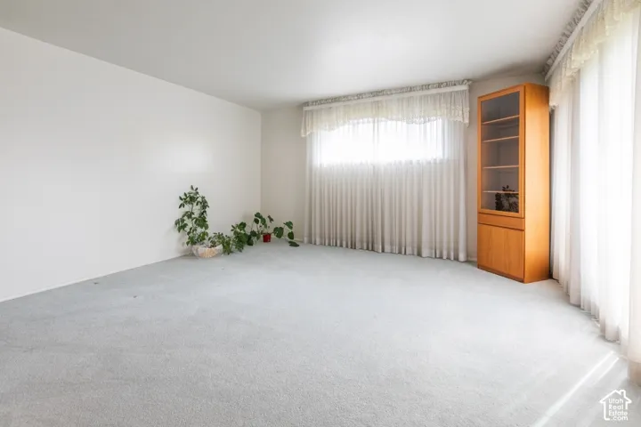 Room featuring wall-to-wall carpeting and built-in wood cabinetry