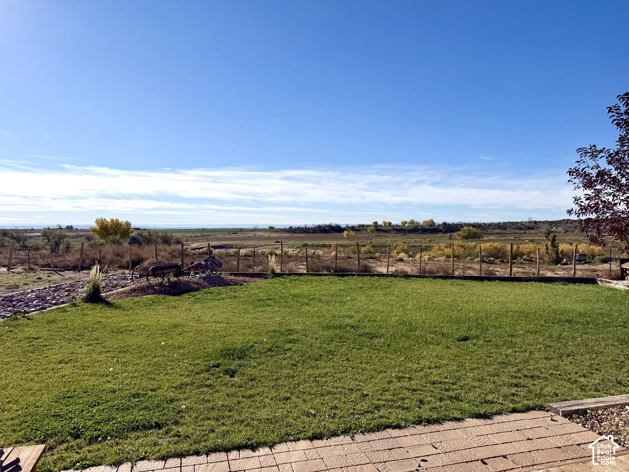 Back yard view!