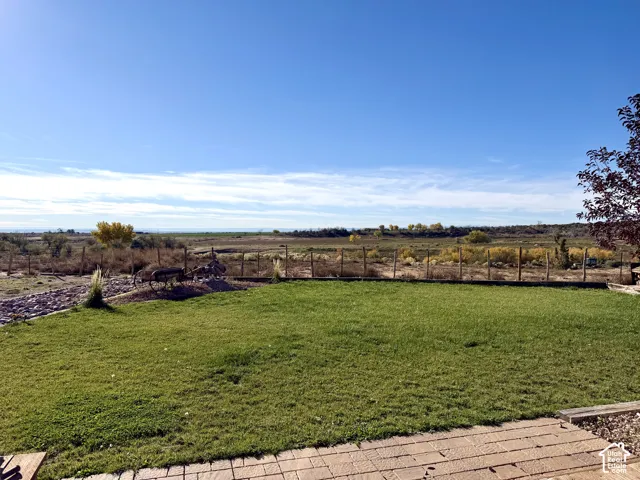 Back yard view!