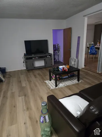 Interior space featuring light-toned wood-finish flooring and neutral wall paint