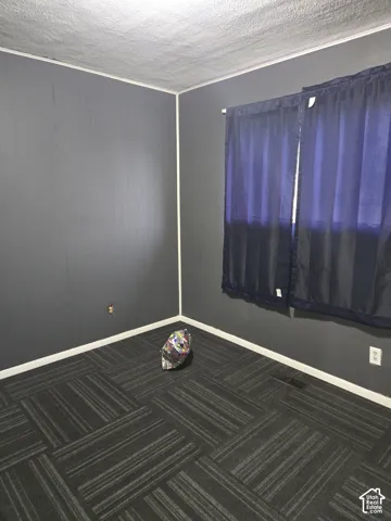 Interior space featuring charcoal-toned wall paneling, geometric-patterned carpeting, and a single window