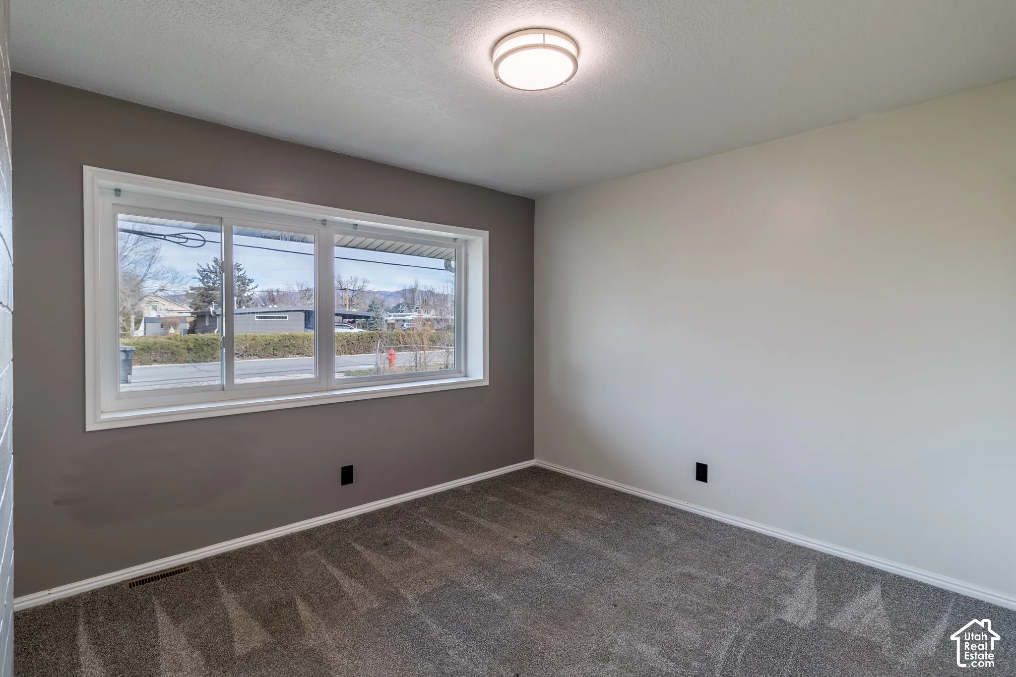 Room featuring grey wall-to-wall carpeting, an accent wall, a sliding window with white trim, and a ceiling-mounted light fixture