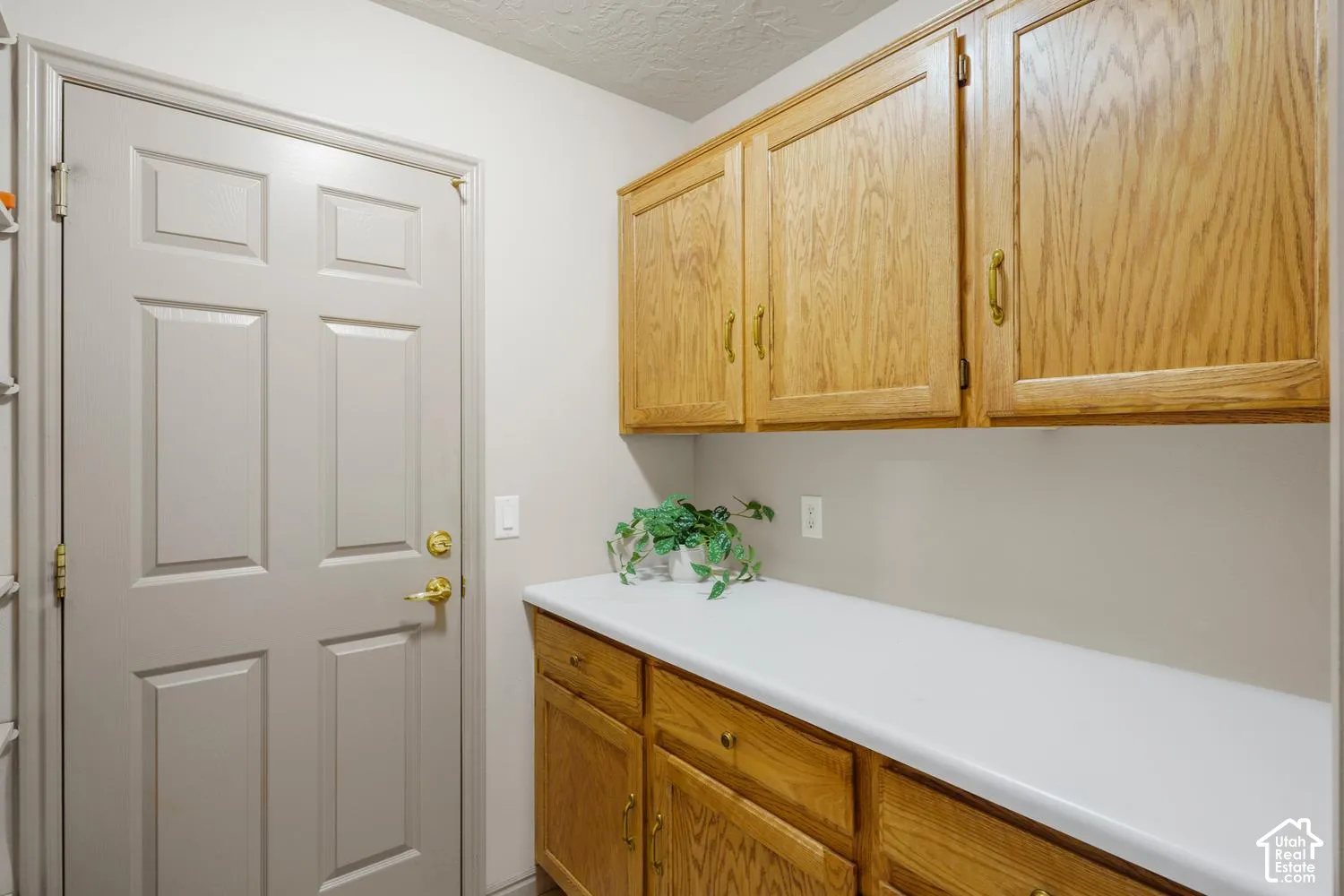 Built-in wood cabinetry, solid-surface countertop, and six-panel interior door with brass-tone hardware