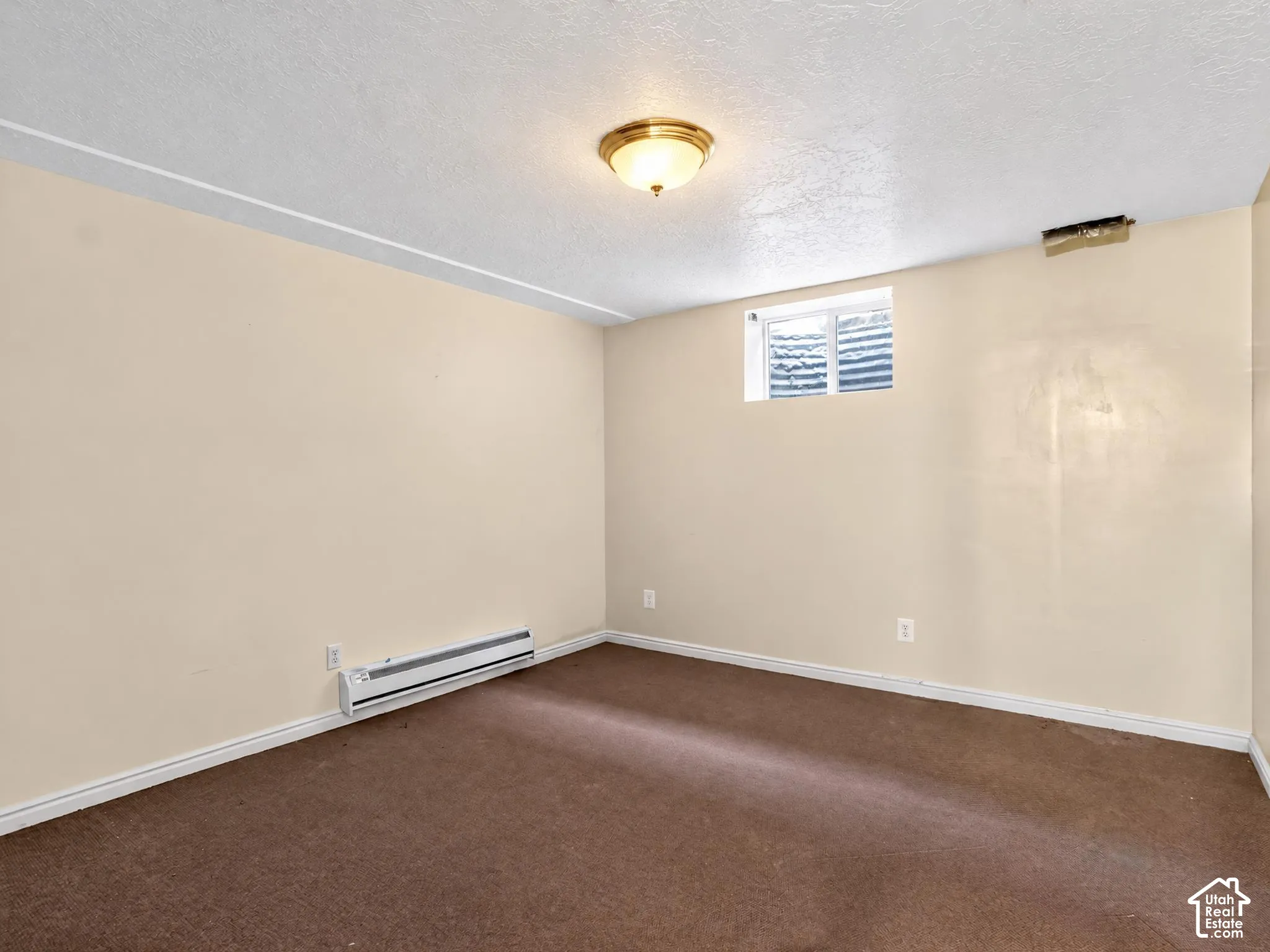 Neutral-toned interior space featuring brown carpeting, a flush-mount ceiling light, a built-in electric baseboard heater, and a rectangular egress window with a window well