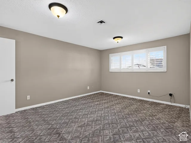 Neutral wall tones featuring textured carpeting, dual flush-mount light fixtures, and white plantation shutters