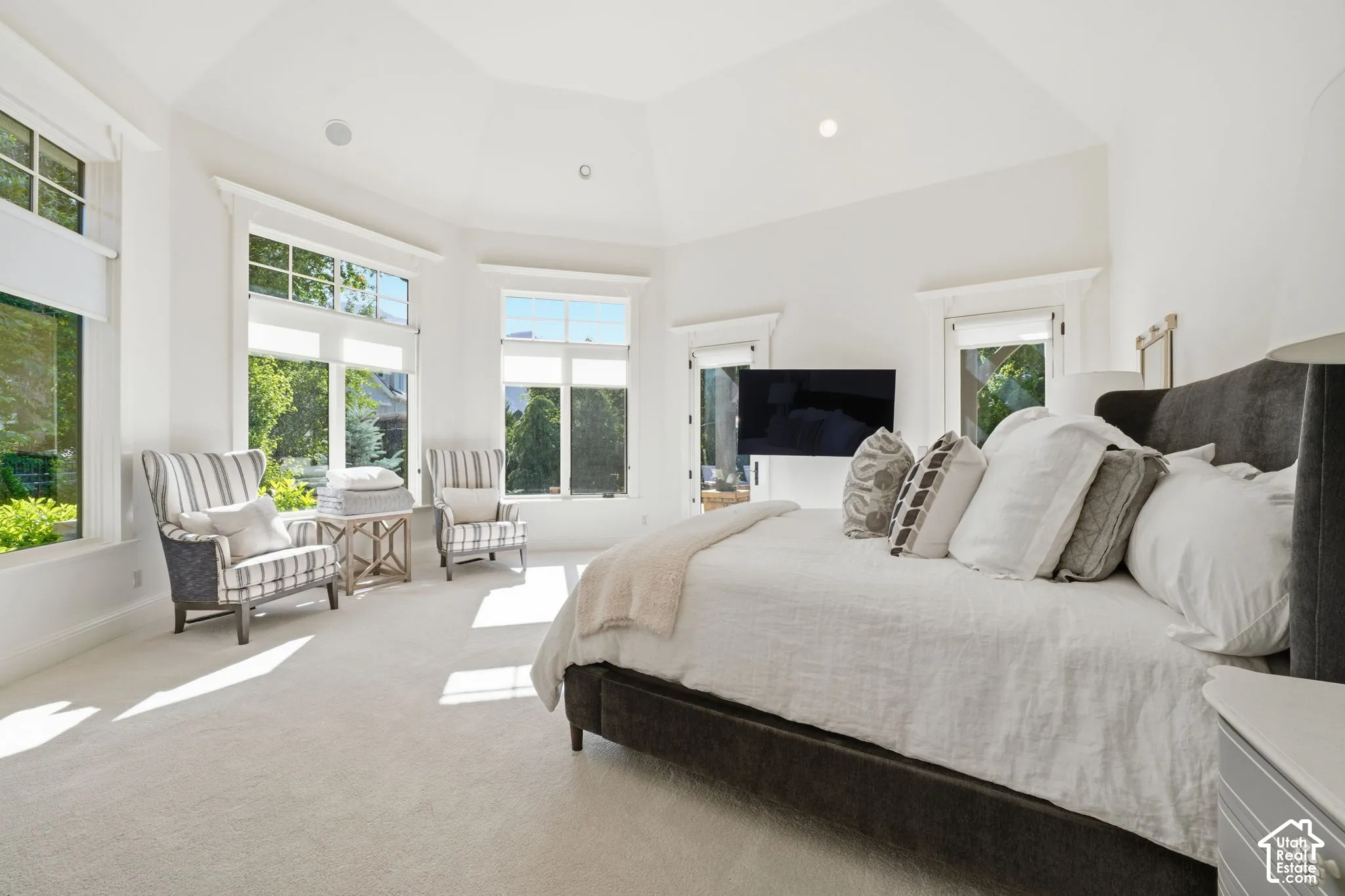 Octagonal tray ceiling, expansive multi-pane windows, and neutral carpeting