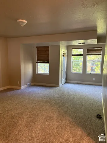 Neutral-toned interior featuring wall-to-wall carpeting, three windows with wood-finish blinds, and a glass-paneled exterior door