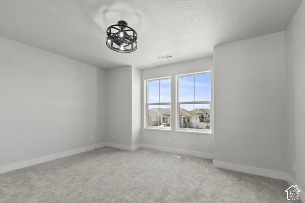 Neutral wall finish, carpeted flooring, two dual-pane windows, and a matte black caged flush-mount light fixture