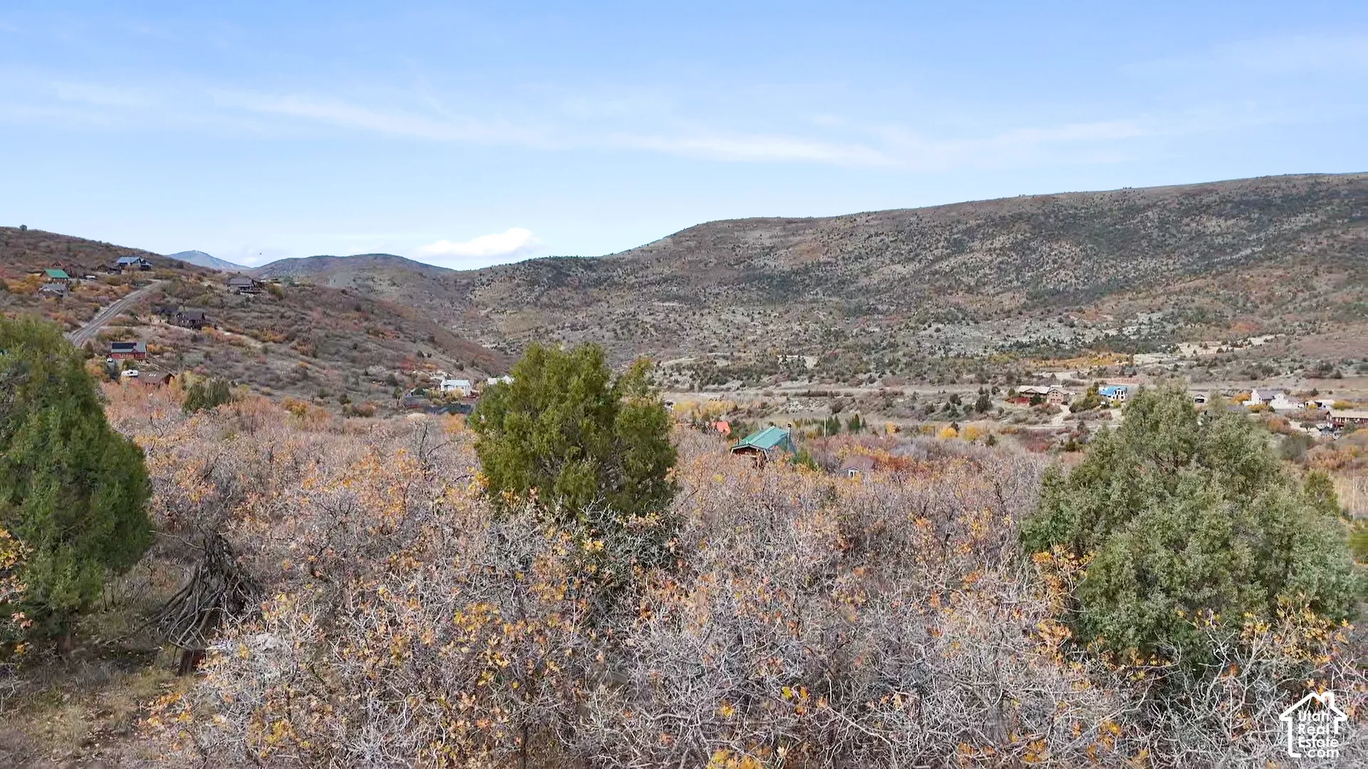 Expansive lot featuring native shrubbery, evergreen trees, and mountainous terrain