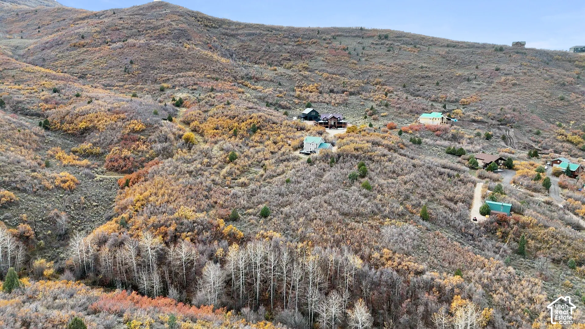 Elevated mountain terrain featuring dense clusters of deciduous trees, native scrub vegetation, and rugged hillside topography