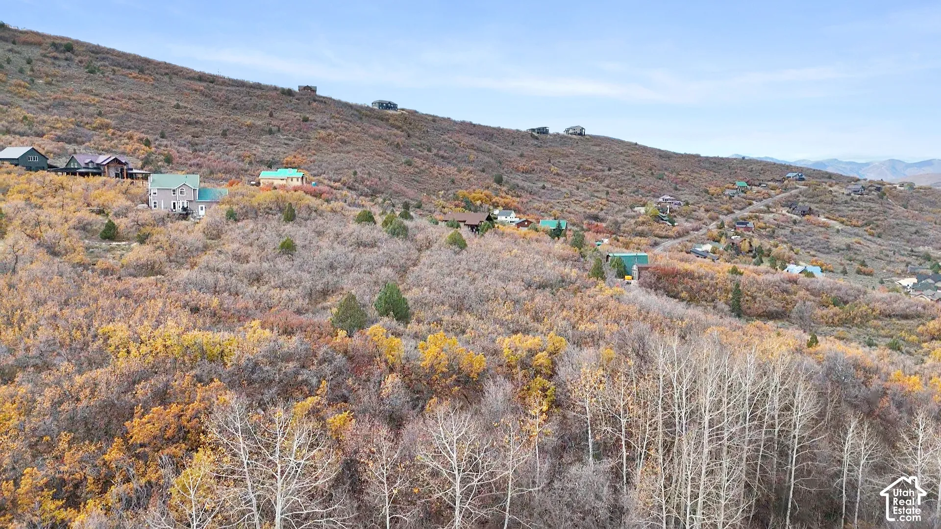 Elevated mountainside landscape featuring deciduous trees, evergreen shrubbery, and rolling terrain