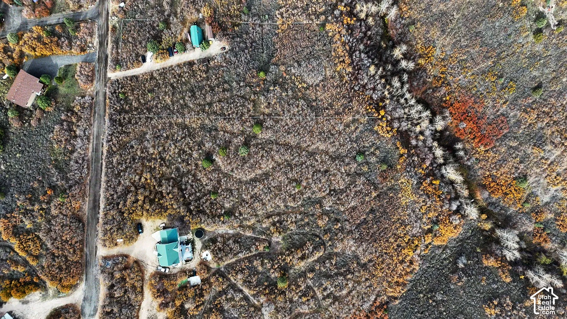 Expansive parcel featuring mature trees, diverse natural foliage, and direct access to a paved road