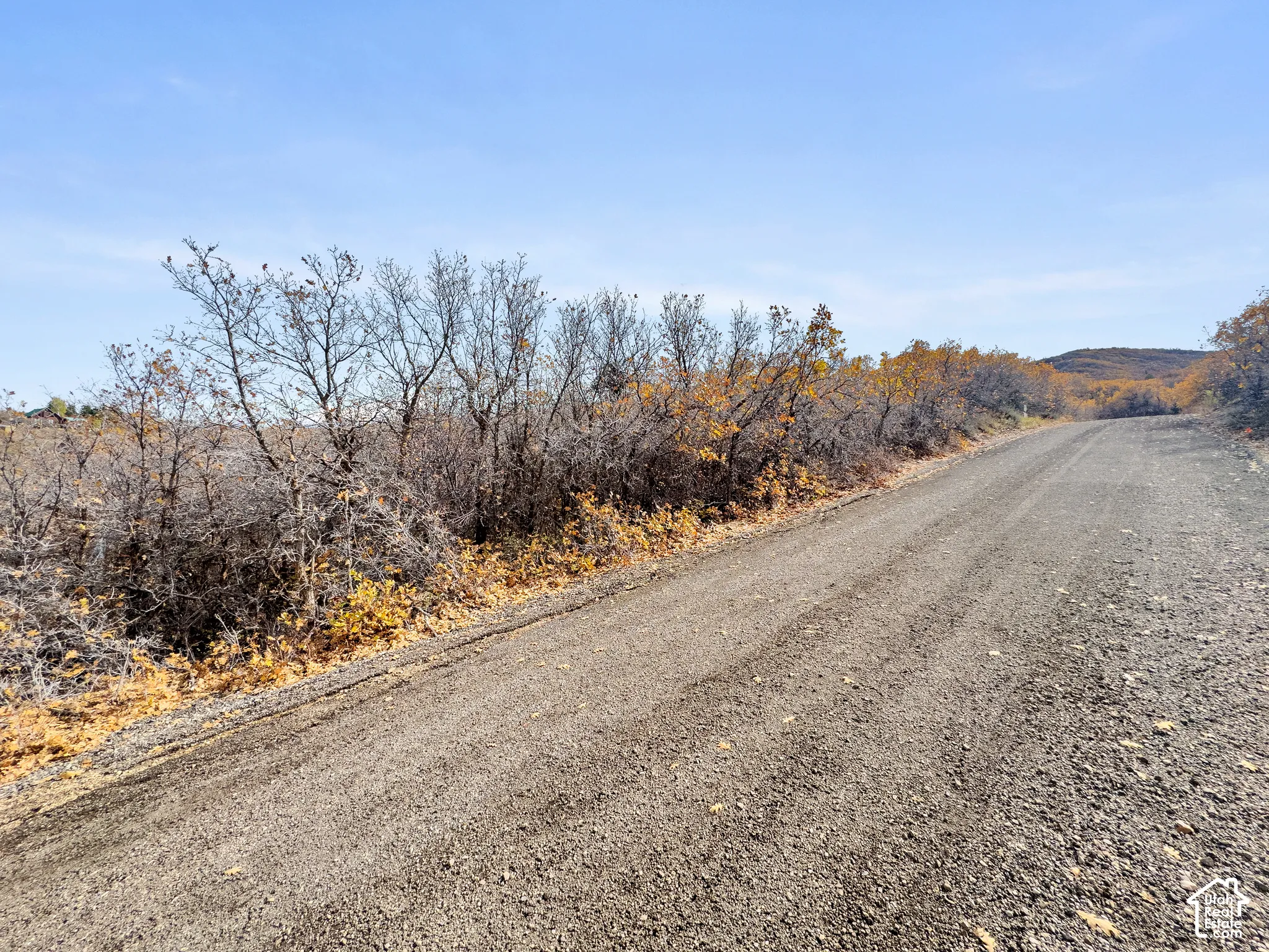 Gravel thoroughfare bordered by native vegetation and deciduous trees